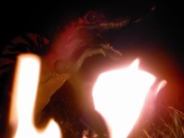 I used the Dino Valley spinosaur and actually used white gas to make flames. I dug a trench around the figure and poured the gas and then lit it. It was inspired by the final spino scene in JP3